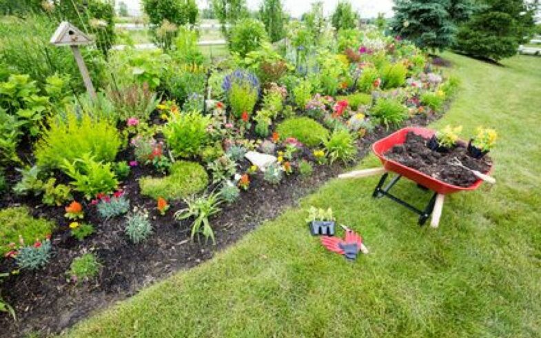 Comment faire un jardin facile d’entretien ?